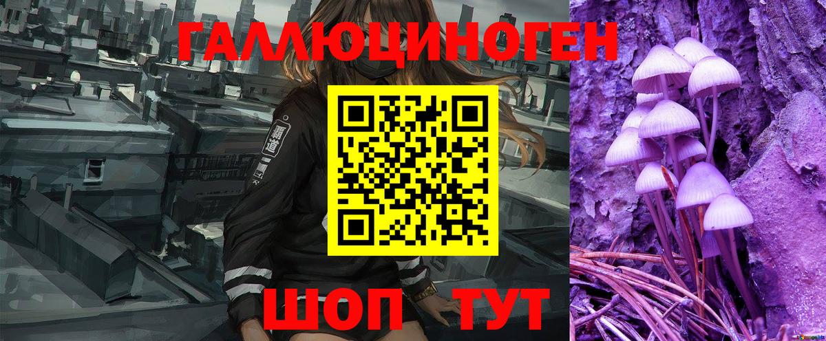 Галлюциногенные грибы Psilocybine cubensis  как найти закладки  Малгобек  Вход с VPN 